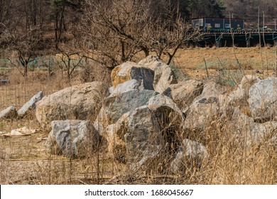 Quarried Boulders In Front Of Leafless Tree With Ginseng Crop And Metal Storage Building In Background.