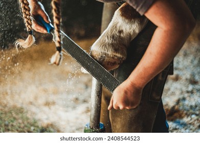 Quarter horse getting hoof shaped by a female farrier with two pigtail braids in a dusty stall in an old wooden barn. - Powered by Shutterstock