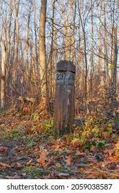 Quarter Pillar In The Forest Of The Volga Region.