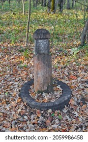 Quarter Pillar In The Forest Of The Volga Region.