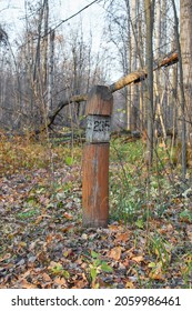 Quarter Pillar In The Forest Of The Volga Region.