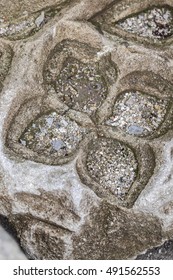 Quatrefoil, Ornament On The Gray Stone Wall, Fragment