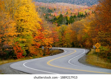 Quebec, Canada - October 13,  2016: Curved Pave Road Surrounded By Autumnal Maple Trees
