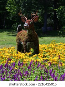 QUEBEC CITY CANADA 08 15 2022: Red Deer At The Mosaiculture Once Upon A Time Earth, The Exhibition Will Be A Hymn To The Beauty Of Life On Our Planet