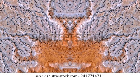  the Queen,   abstract symmetrical photograph of the deserts of U.S.A, from the air, conceptual photo, diffuser filter,