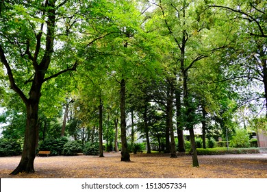 Queen Astrid Park In Tournai, Belgium On Sep. 22, 2019.