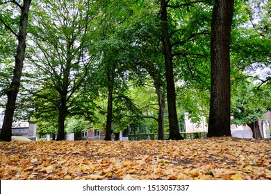 Queen Astrid Park In Tournai, Belgium On Sep. 22, 2019.