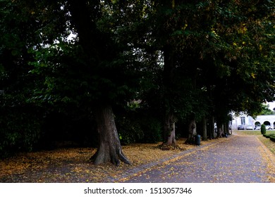 Queen Astrid Park In Tournai, Belgium On Sep. 22, 2019.