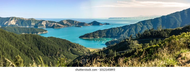 Queen Charlotte Sound In New Zealand