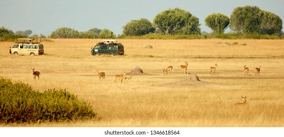 Queen Elizabeth National Park