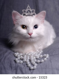 Queen Kitty