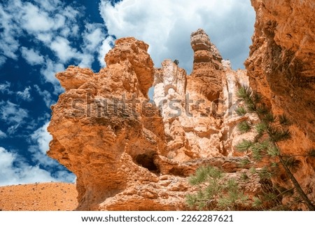 Queens Garden Trail in the Bryce Canyon National Park, USA.