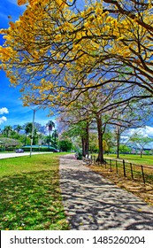 Queens Park Savannah Port Of Spain,Trinidad