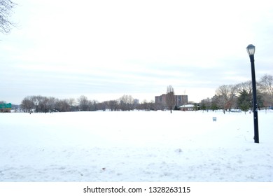 Queens Park Winter 