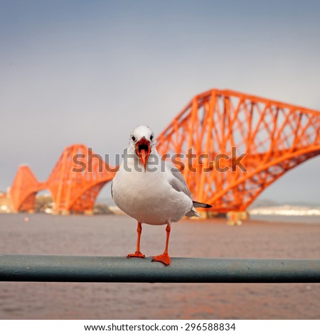 Queensferry Bridge Forth 