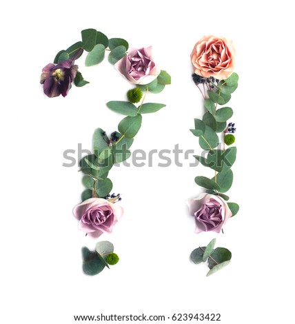A question mark and an exclamation point made of leaves and flowers on white background. Parts of the flowers alphabet.
