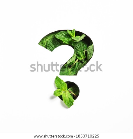 Question punctuation mark of green mint natural leaf and cut paper isolated on white. Peppermint leaves font typeface