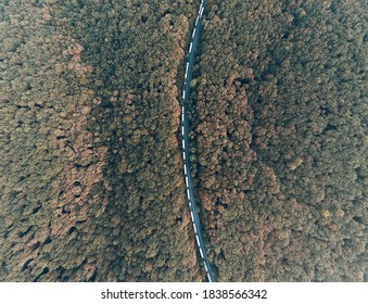 The Queue Of Trucks Standing On The Road. Top View Of The Trucks.