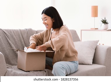 Quick Delivery Service Concept. Happy Asian Lady Received Package, Unpacking Cardboard Box, Sitting On The Sofa In Living Room At Home, Copy Space. Female Buyer Satisfied With Online Shopping Purchase