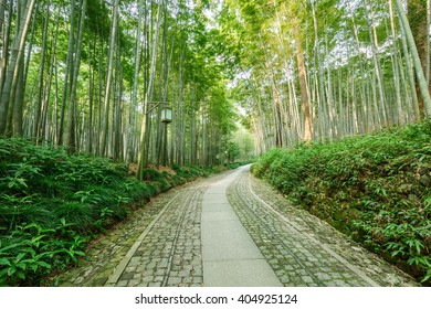 Quiet Bamboo Forest Trail In Hangzhou, China