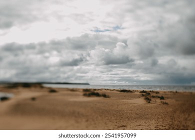 A quiet beach scene with expansive sand dunes and a moody, cloud-filled sky, evoking solitude and introspection. The soft focus adds a dreamlike quality to this untouched coastal landscape - Powered by Shutterstock