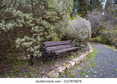 Quiet And Empty Park, Rosh Pina Israel