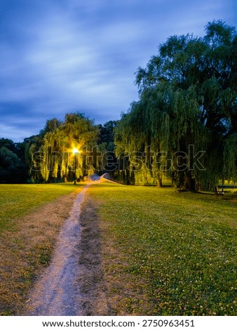 A quiet evening path winds beneath the willows of Upper Onondaga Park, inviting travelers to slow down and discover the softer side of Syracuse