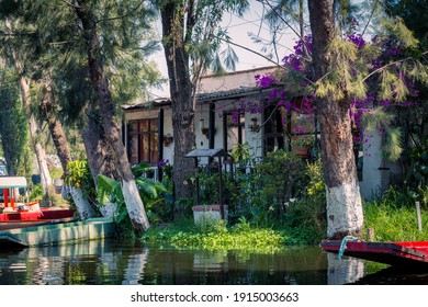 Quiet Family Home Built In A Chinampa In The Canals Of Xochimilco, In Mexico City.