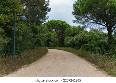 43,239 Lunch forest Images, Stock Photos & Vectors | Shutterstock