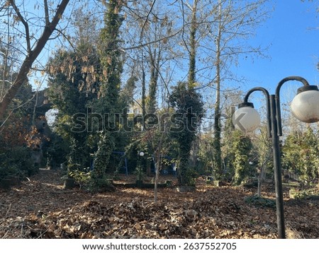 A quiet forest playground in autumn, with fallen leaves covering the ground, ivy-covered trees, swings, and vintage park lamps under a clear blue sky.