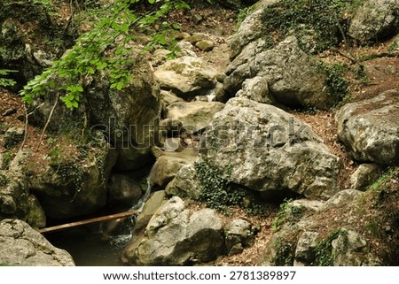 A quiet forest stream flowing between mossy boulders in the shade of trees creates an atmosphere of seclusion and natural harmony.
