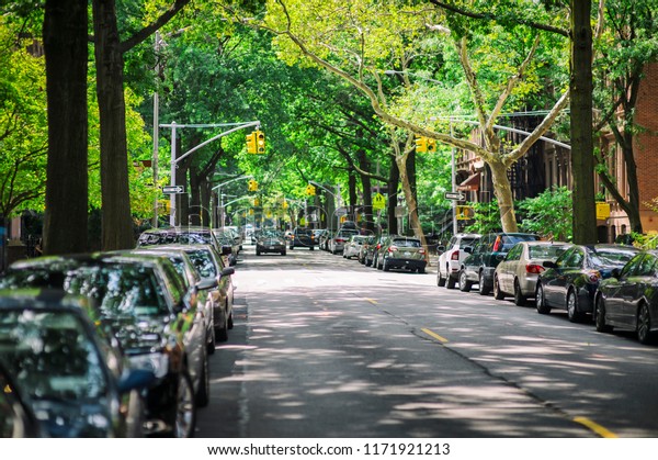 A quiet leafy\
street in Park Slope,\
Brooklyn.