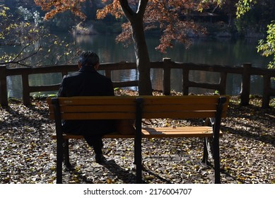 Quiet Moment In The Park