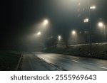 Quiet nighttime road scene with wet pavement reflecting streetlights under a dense fog, perfect for urban or noir-inspired visuals.