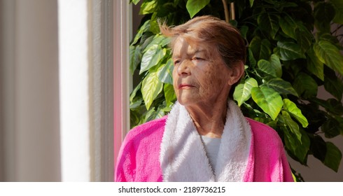 Quiet Older Latina Woman Sitting Alone Looking Out The Window