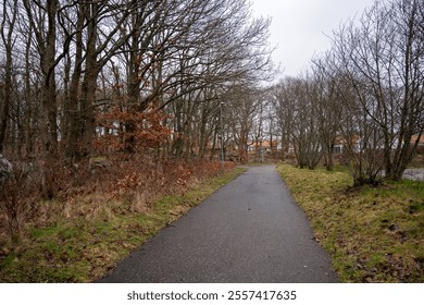 A quiet path meanders through a tranquil wooded area, lined with leafless trees and sparse foliage. The atmosphere is calm, with a soft gray sky overhead, typical of early winter - Powered by Shutterstock