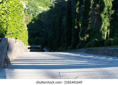 A Quiet Road In The Forest At Evening