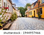 Quiet side street in city Odense, Denmark with the typical hollyhock plants growing along the house facedes