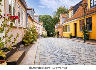 Quiet side street in city Odense, Denmark with the typical hollyhock plants growing along the house facedes