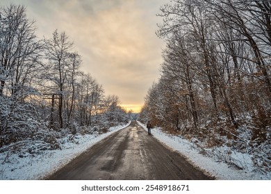 A quiet snowy road lined with leafless trees under a cloudy winter sky, with a lone traveler walking into the golden sunset. A peaceful winter scene of solitude and nature. - Powered by Shutterstock