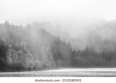 Quiet Solitude: Birds Over a Foggy Lake in a Contemporary Minimalist Landscape - Powered by Shutterstock