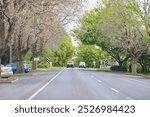  A Quiet Suburban Street Lined with Lush Trees, Melbourne, Australia