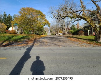 A quiet suburban street on a clear day. The leaves are falling off of the trees and covering the road.