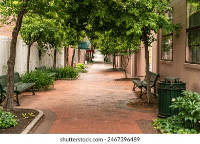 quiet tree lined brick walk way with park benches on sunny day