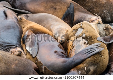 kuschelzeit Küste Farbfoto