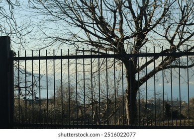 A quiet winter afternoon view through a fenced gate with a bare tree overlooking a distant lake and mountains beyond - Powered by Shutterstock