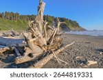 Quileute Nation