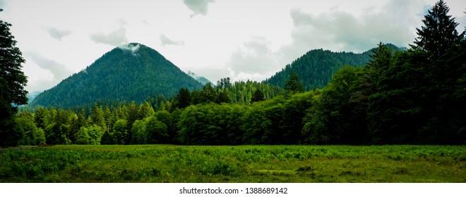 Quinault Loop Olympic Peninsula Washington State 