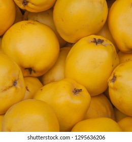 Quince In Fruit Crate