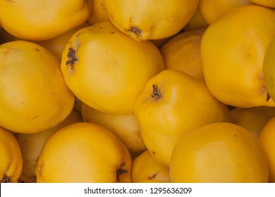 Quince In Fruit Crate